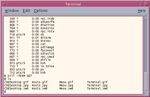 Solaris dtterm Window