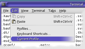 JDS terminal Edit Current Profile